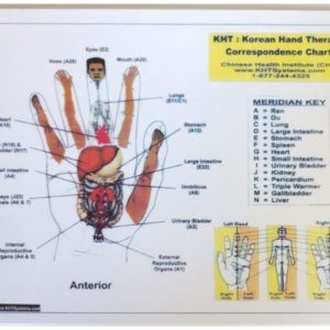 A white board with a diagram of the human hand.