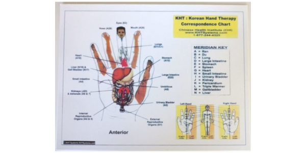 A white board with a diagram of the human hand.